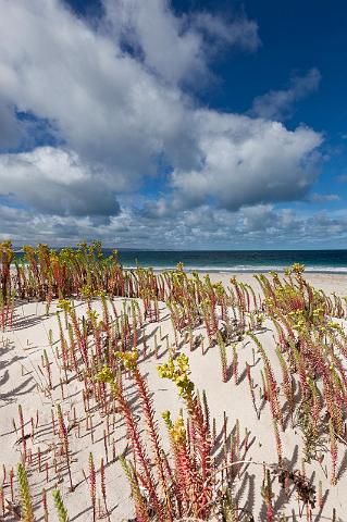 176 Kangaroo Island, antechamber bay.jpg